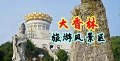 啊,好爽,黄片中国浙江-绍兴大香林旅游风景区